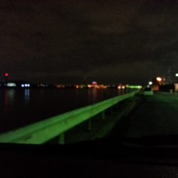 堺でチーバス！！とバラシ(ToT)