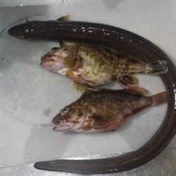 今年初、長時間釣行で開幕戦一勝！