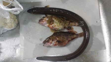 今年初、長時間釣行で開幕戦一勝！