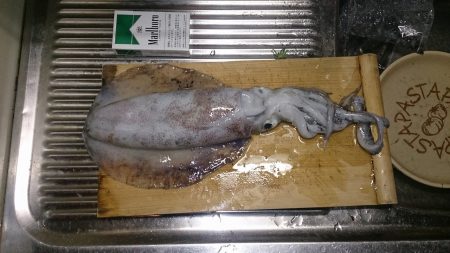 今年初エギング！