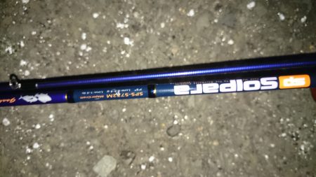 田ノ浦 ガシリング