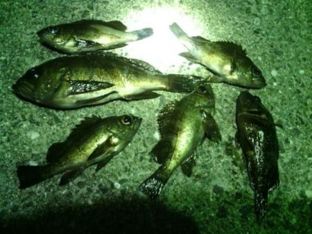 ランガンしました。