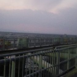 とっとパーク小島　サビキでのメバル釣り…