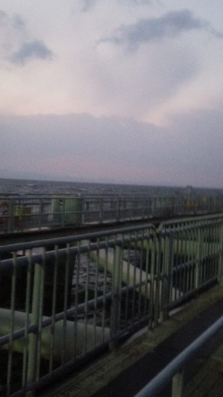 とっとパーク小島　サビキでのメバル釣り…