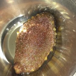 白浜周辺　夕方のサビキ釣りで大きめのアジ