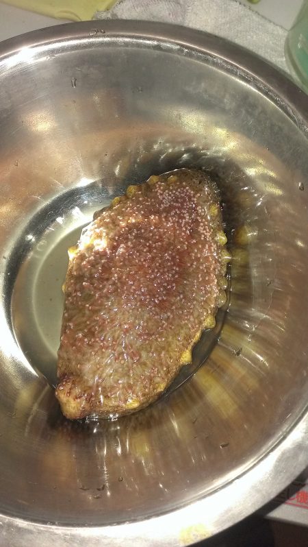 白浜周辺　夕方のサビキ釣りで大きめのアジ