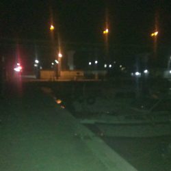 強風の中の釣行