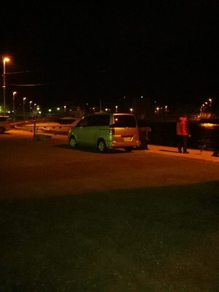 いつでもメバルは外れなし