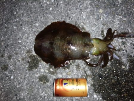 大きいの求めて行って来ましたが残念