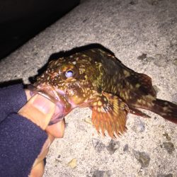 貝塚ガシリングへ出陣‼︎