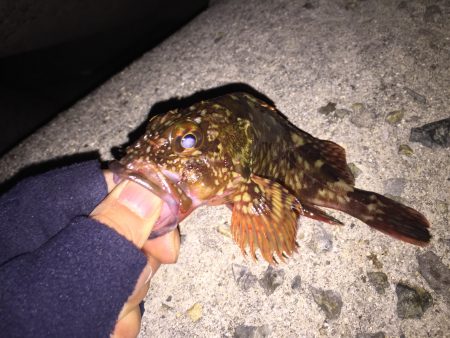 貝塚ガシリングへ出陣‼︎