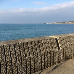 今年度の初釣行でサゴシ1尾