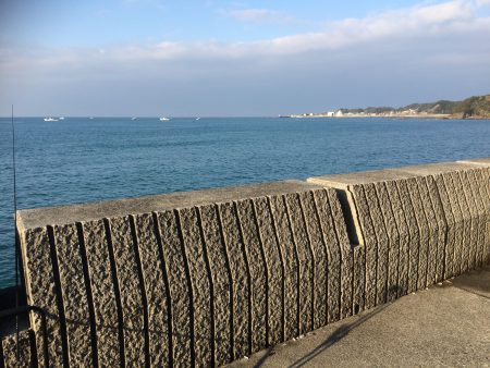 今年度の初釣行でサゴシ1尾