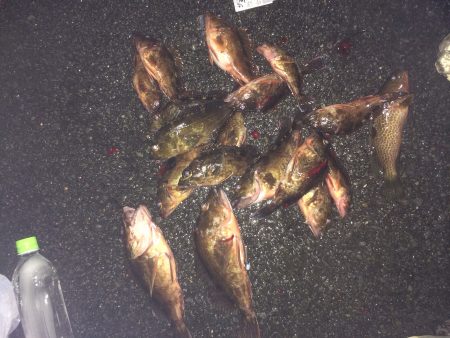 ロックフィッシュ