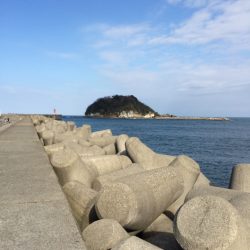 初釣り行ってきました！