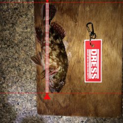 泉南サーフ渋かった‼️