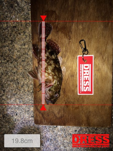 泉南サーフ渋かった‼️