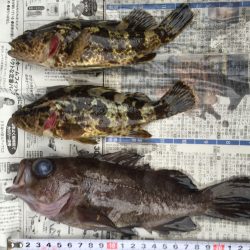 2015年 初釣行！！