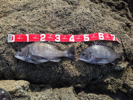 衣奈の黒島にて