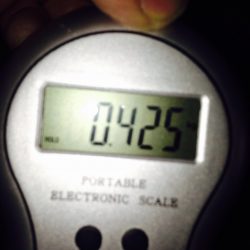 白浜周辺　エギングのアオリイカは出だし好調