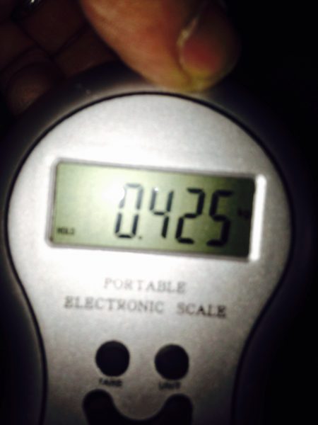 白浜周辺　エギングのアオリイカは出だし好調