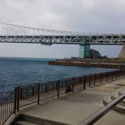 舞子の冬の釣り、風物詩のサヨリをGET!