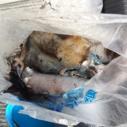 泊まり込み南紀釣行１日目