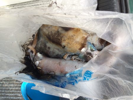 泊まり込み南紀釣行１日目