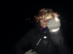 須磨にてメバリング　メバルのアタリはあるが…