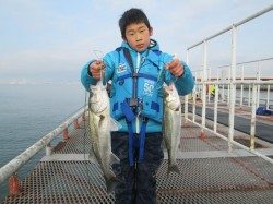 尼崎市立魚つり公園 早朝ハネの喰い気高く、70オーバーのスズキも出ました!