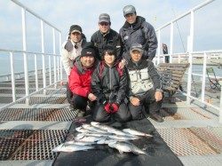 尼崎市立魚つり公園 早朝ハネの喰い気高く、70オーバーのスズキも出ました!