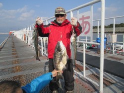 尼崎市立魚つり公園　エビ撒きでスズキクラス…