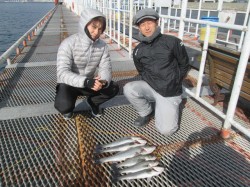 尼崎市立魚つり公園　エビ撒きのハネ、水温が…