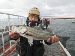 尼崎市立魚つり公園 エビ撒きのハネ、水温が安定し釣れる棚はほぼ4ヒロ前後