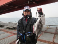 尼崎市立魚つり公園　エビ撒きでのハネ・チヌ…