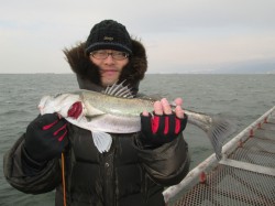 ウキ釣りで４８～５２ｃｍのハネと ４３ｃｍ…