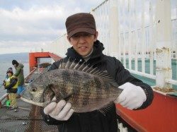 尼崎市魚つり公園 ウキ釣りでスズキ・セイゴの釣果あり