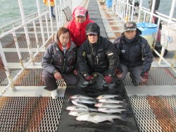 尼崎市魚つり公園　ウキ釣りでスズキ・セイゴ…
