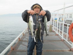 尼崎市立魚つり公園　午前中を中心ににハネが…