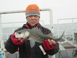 尼崎市立魚つり公園　エビ撒きでハネの釣果