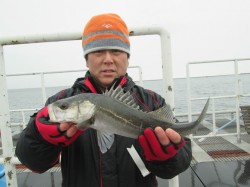 尼崎市立魚つり公園　エビ撒きでハネの釣果