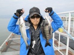 尼崎市立魚つり公園 　エビ撒き釣りでハネ52cm&チヌ42cm