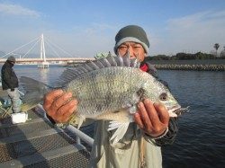 尼崎市立魚つり公園 チヌ48cmやキビレ45cmなど