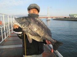 尼崎市立魚つり公園　エビ撒きズボ釣りでスズキ・ハネ・チヌ