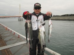 尼崎市立魚つり公園　エビ撒きでハネ・チヌが…
