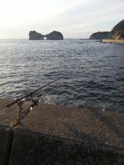 2015年初釣りは円月島前にてヤエン釣り　アオリイカ500gまでを4ハイ☆