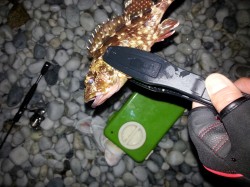 りんくう周辺メバリング　サーフでのフロート…