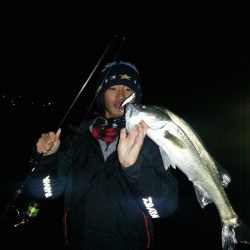 戸坂・塩津漁港周辺ライトゲーム　プラッキングでシーバス・メバル・ガシラ♫