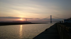 垂水にて短時間勝負の探り釣りでガシラ19匹…