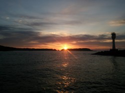 今年初エギングで串本大島へ アオリ キロU…